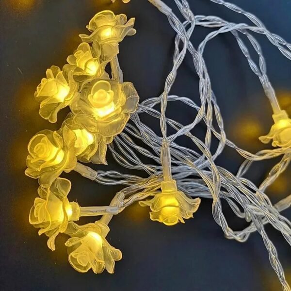 Rose fairy lights