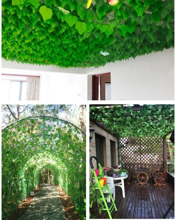 Vine - Image 3
